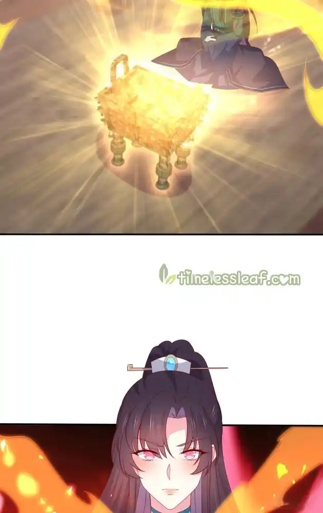 Pupillary Master 322