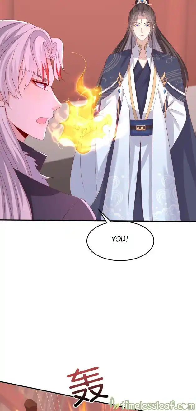 Pupillary Master 323