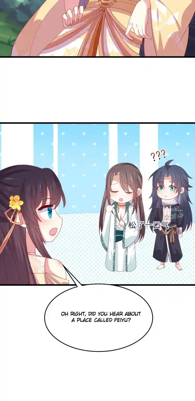 Pupillary Master 328