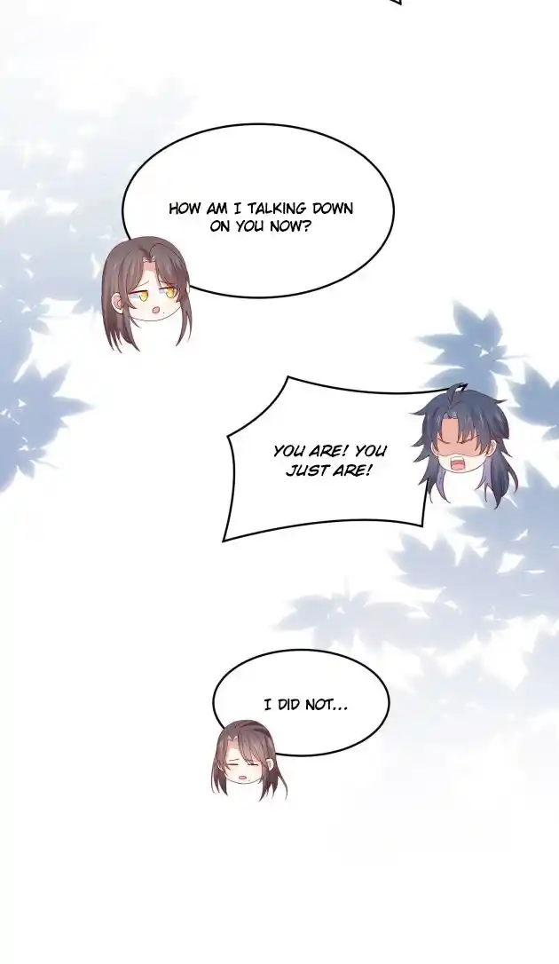 Pupillary Master 328