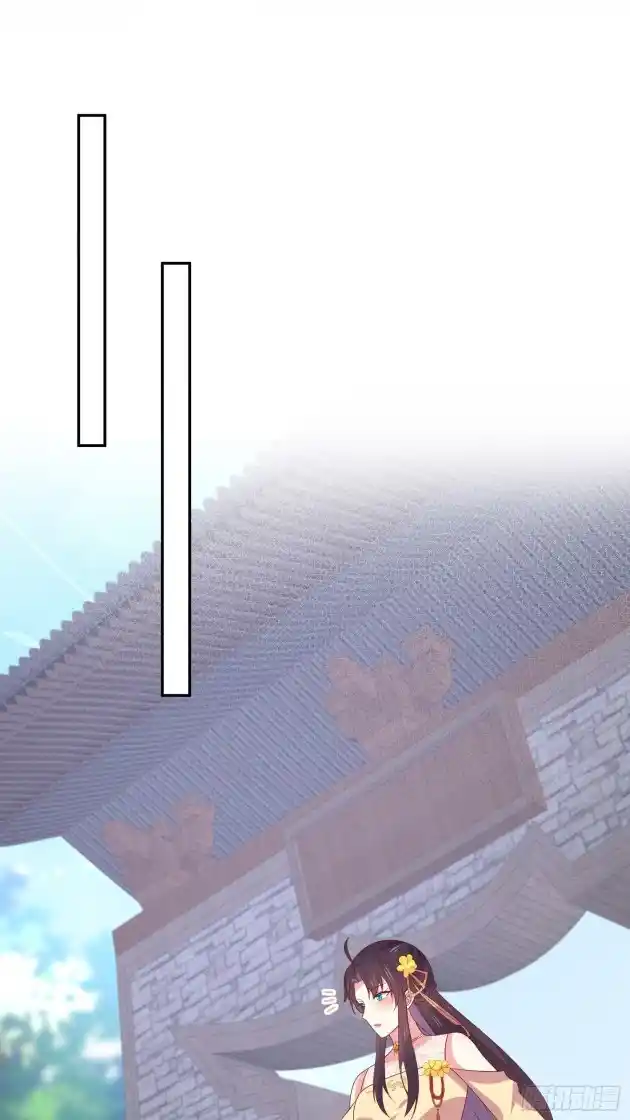 Pupillary Master 328