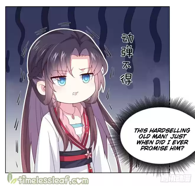 Pupillary Master Ch. 11