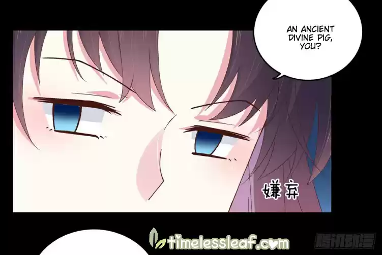 Pupillary Master Ch. 5