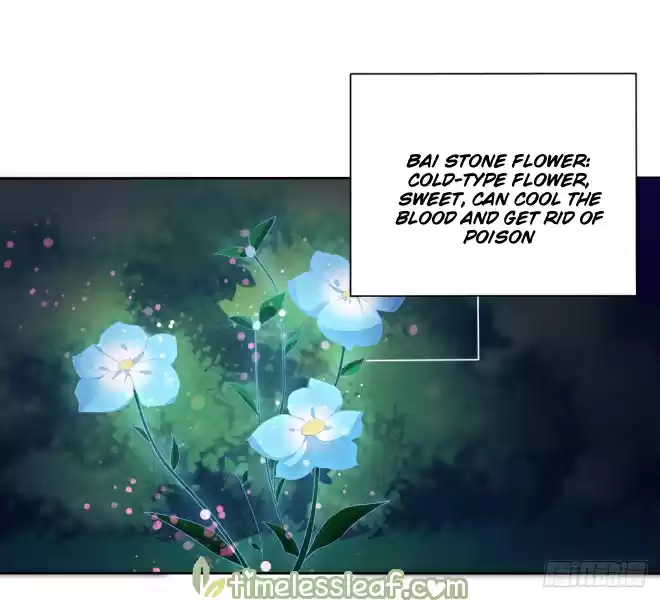 Pupillary Master Ch. 8