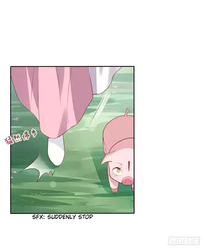 Pupillary Master Ch. 9