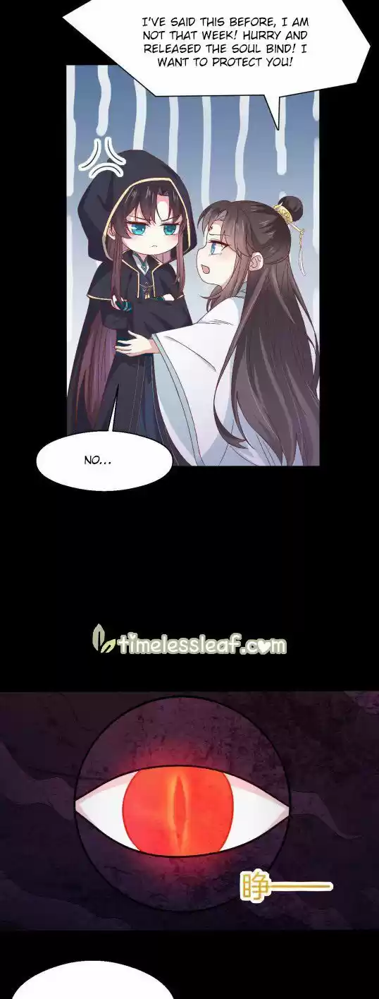 Pupillary Master Ch.172.5