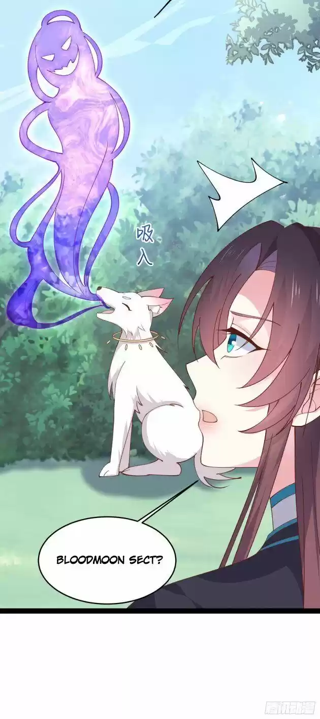 Pupillary Master Ch.236