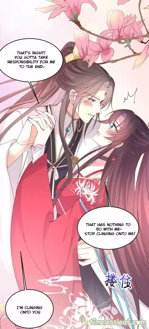 Pupillary Master Ch.244