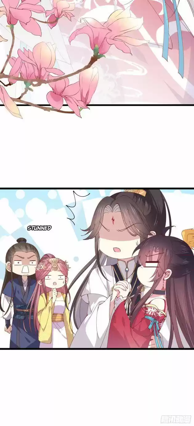 Pupillary Master Ch.244