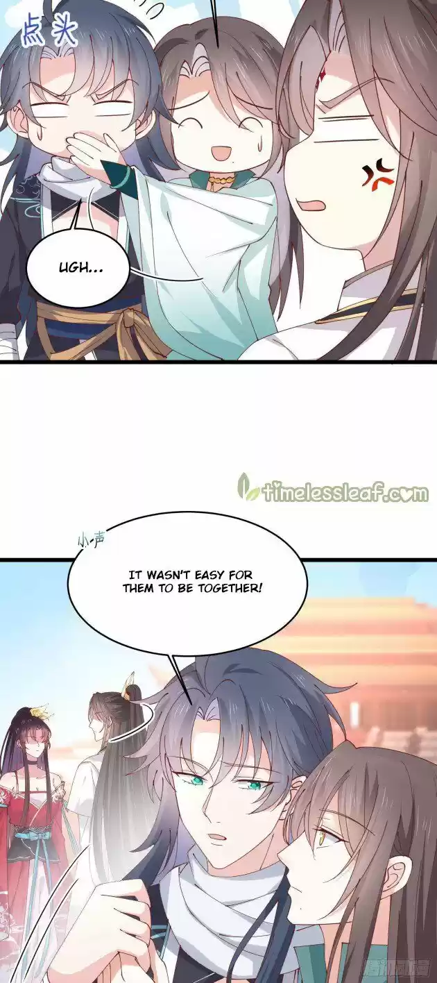 Pupillary Master Ch.244