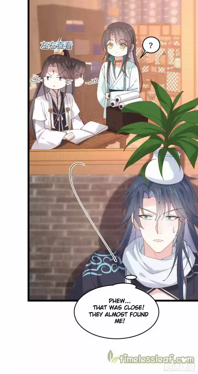 Pupillary Master Ch.252