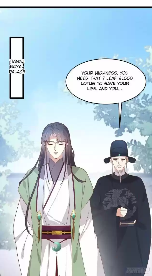 Pupillary Master Ch.260