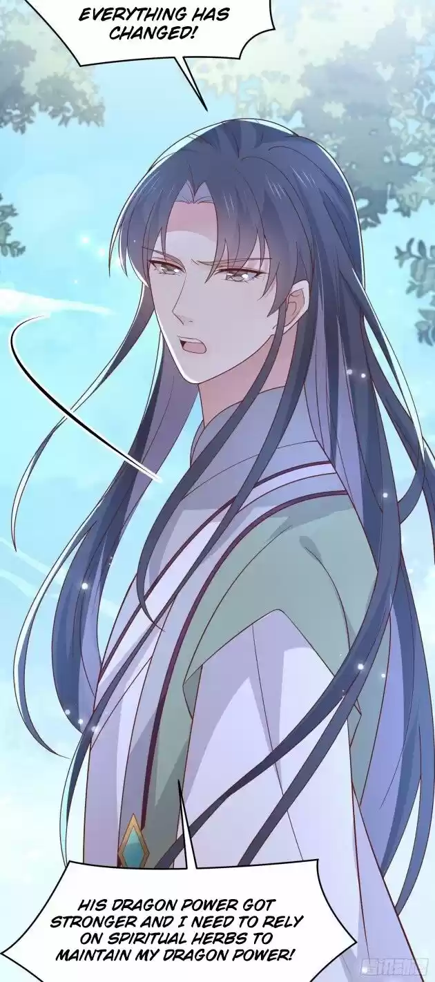 Pupillary Master Ch.260