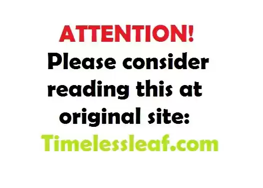 Pupillary Master ch.30