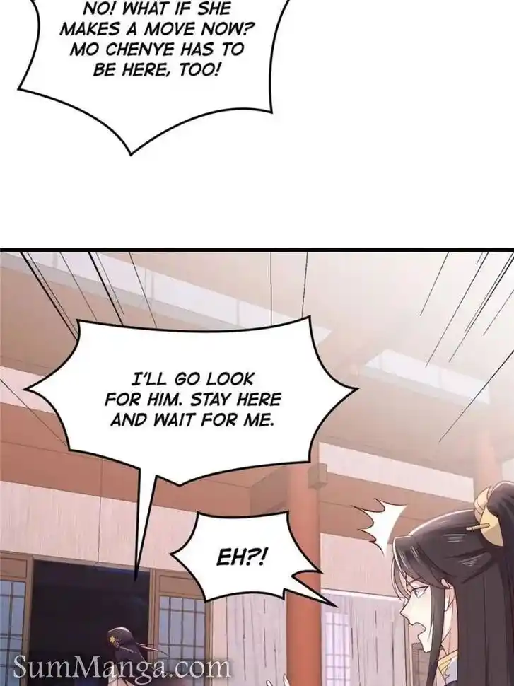 Pupillary Master Ch.360