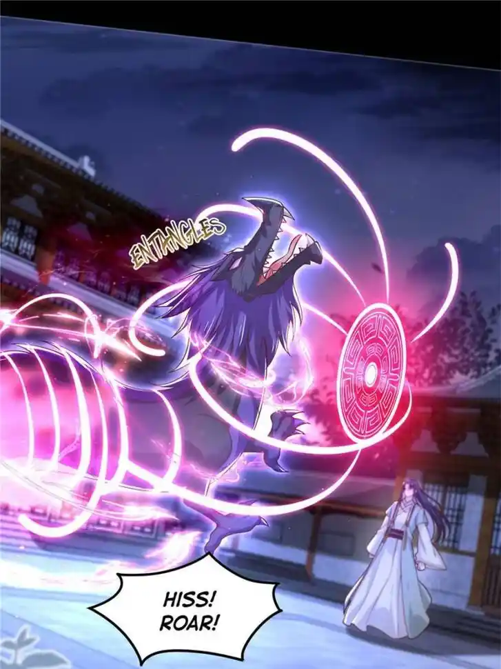 Pupillary Master Ch.362