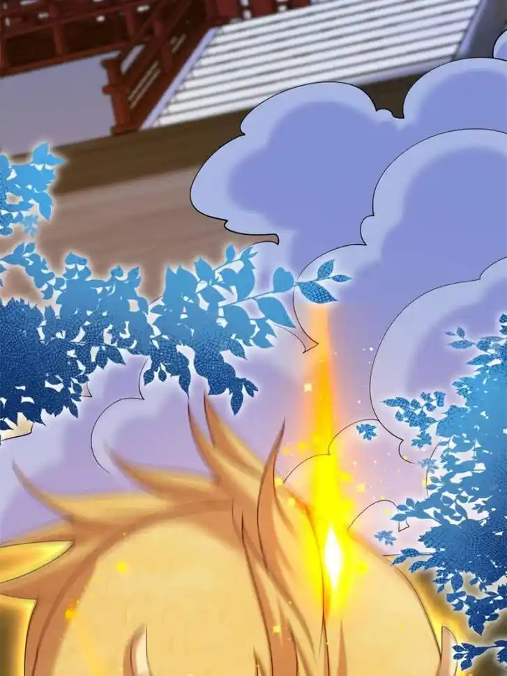 Pupillary Master Ch.363