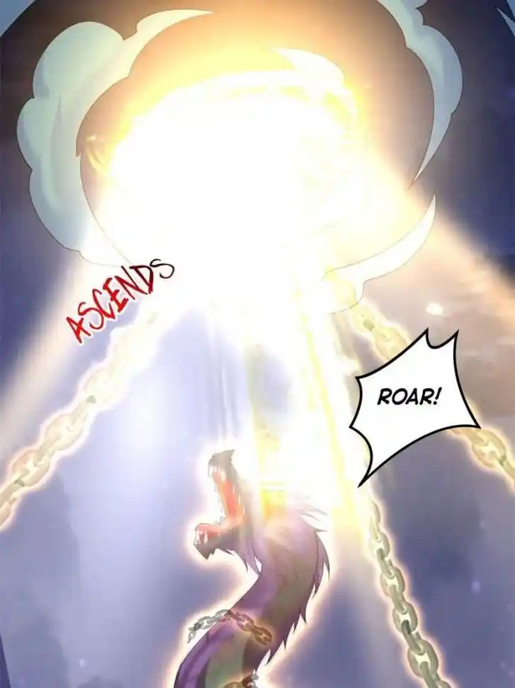 Pupillary Master Ch.363