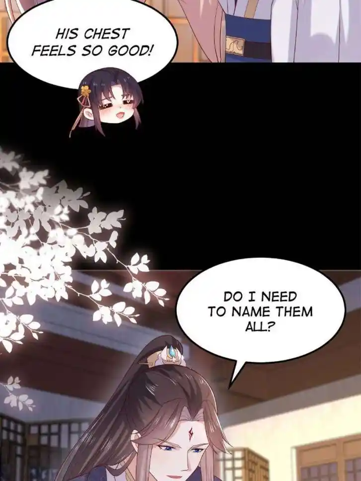 Pupillary Master Ch.365