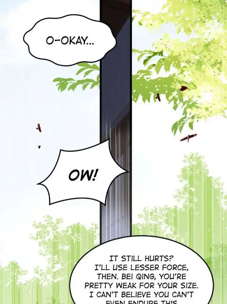 Pupillary Master Ch.365