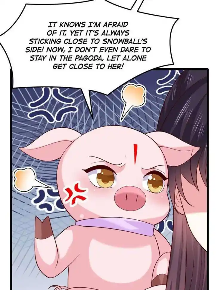 Pupillary Master Ch.366