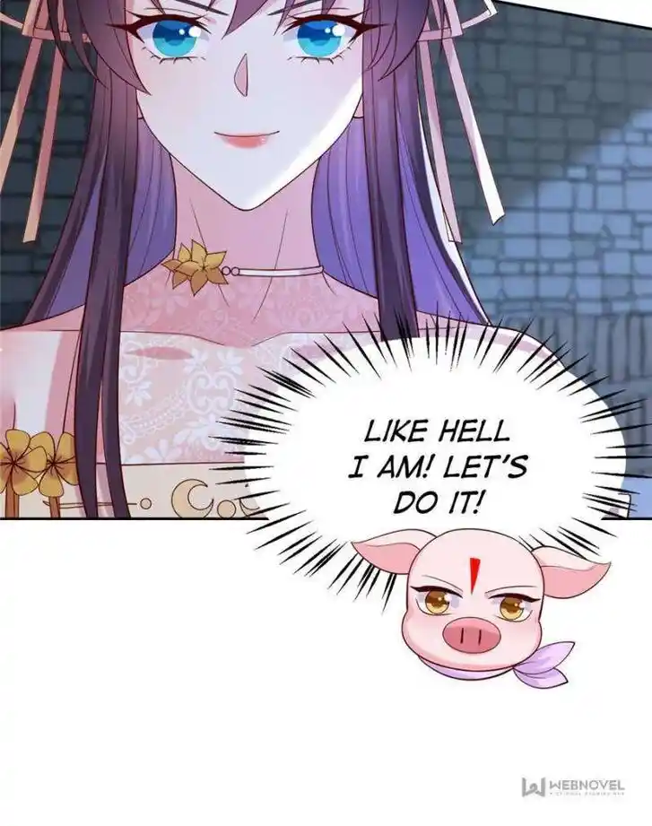 Pupillary Master Ch.366