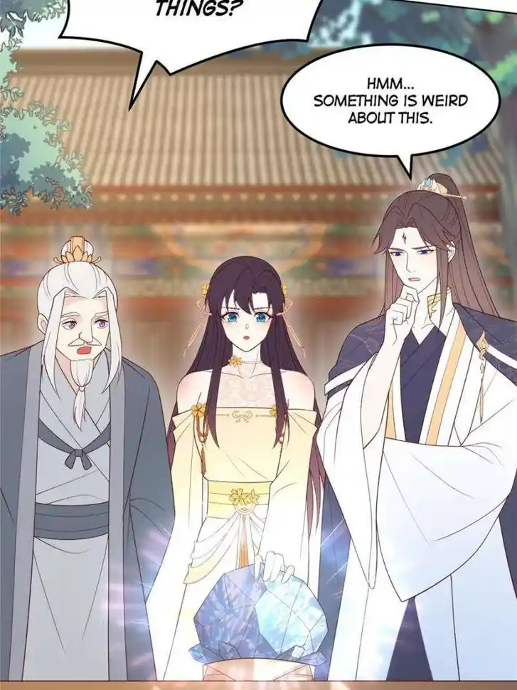 Pupillary Master Ch.369