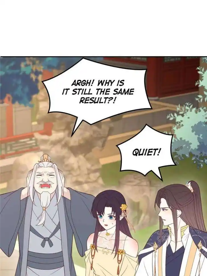 Pupillary Master Ch.369