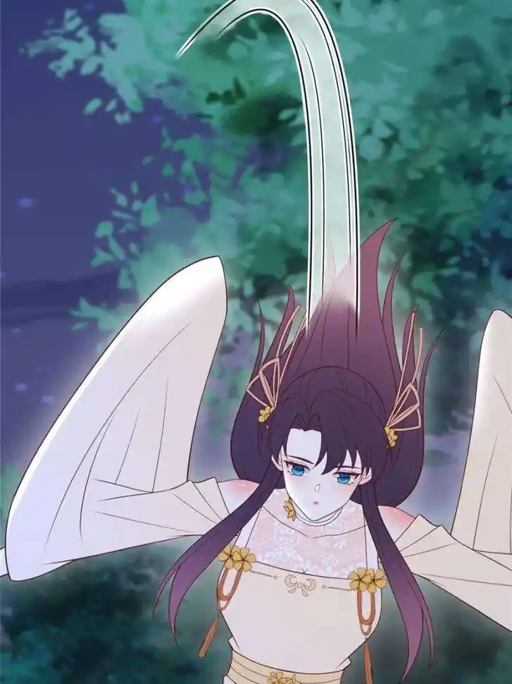 Pupillary Master Ch.369