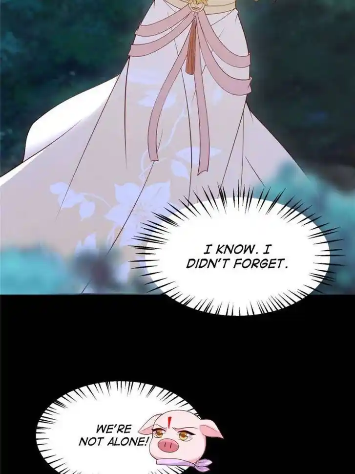 Pupillary Master Ch.369