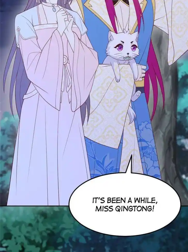 Pupillary Master Ch.369