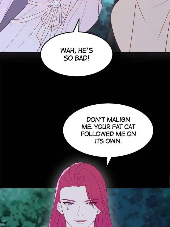 Pupillary Master Ch.369