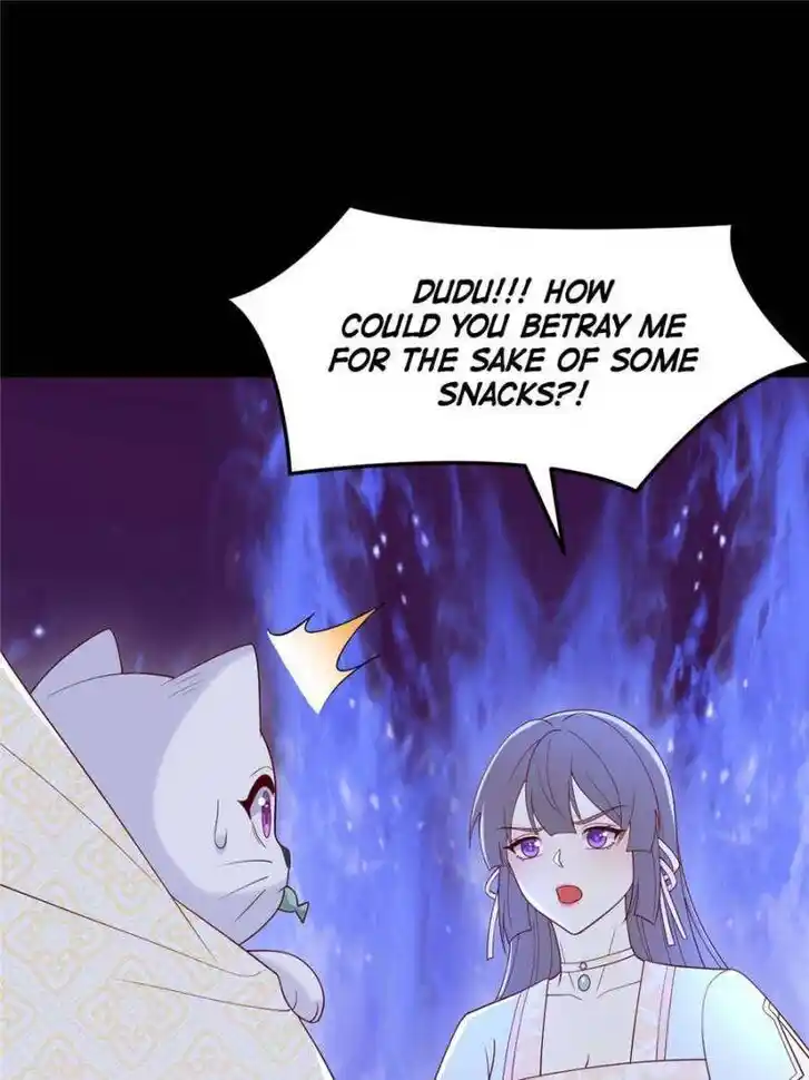 Pupillary Master Ch.369