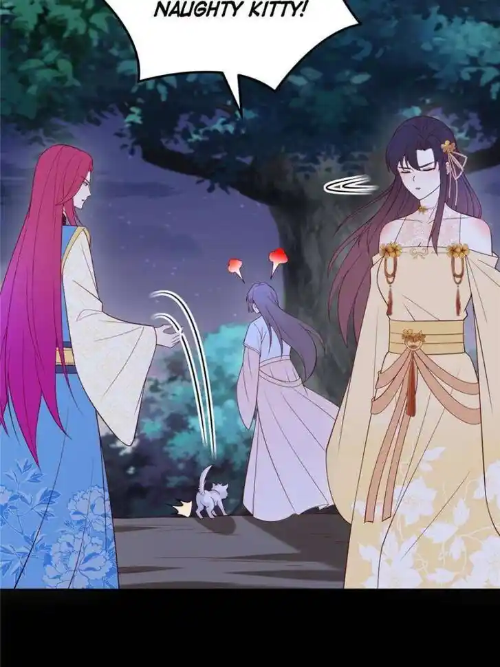 Pupillary Master Ch.369