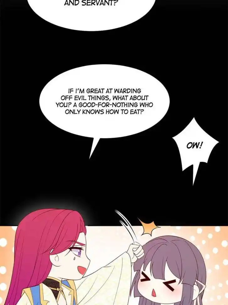 Pupillary Master Ch.370