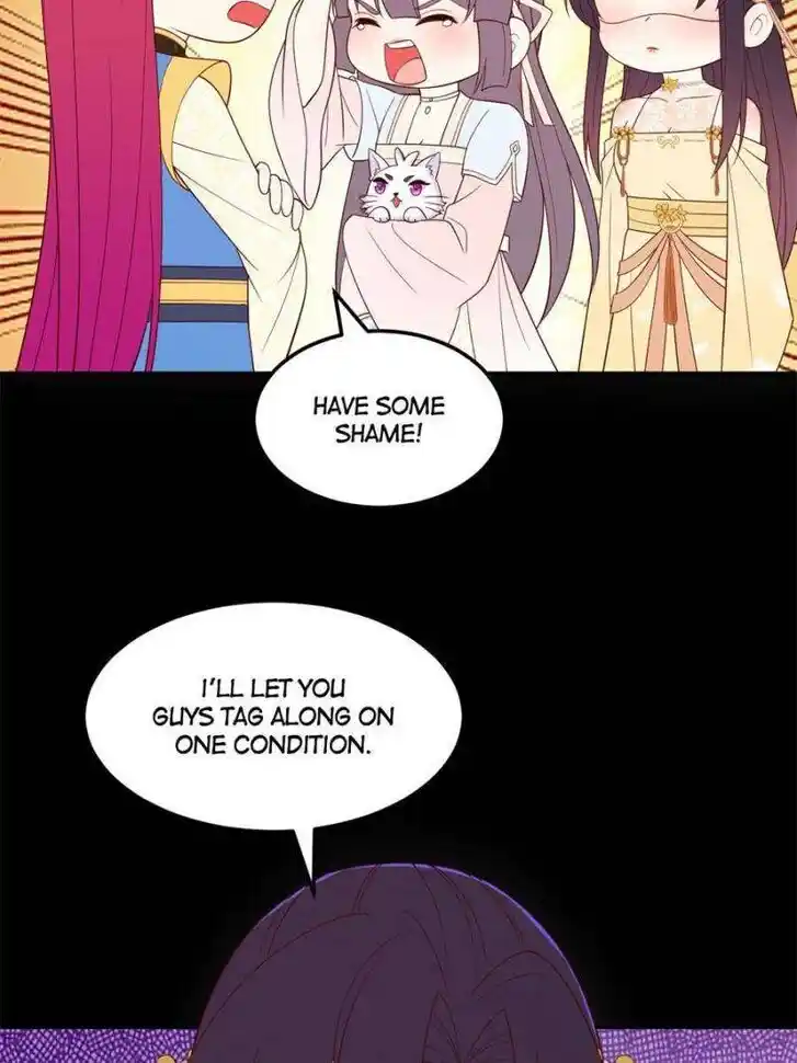 Pupillary Master Ch.370