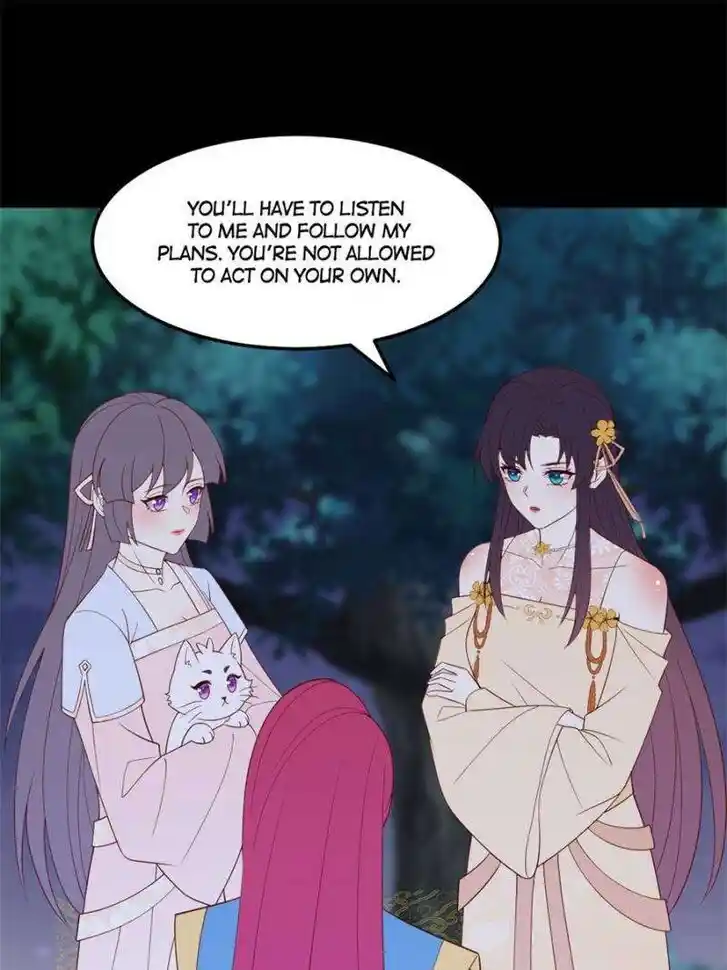 Pupillary Master Ch.370