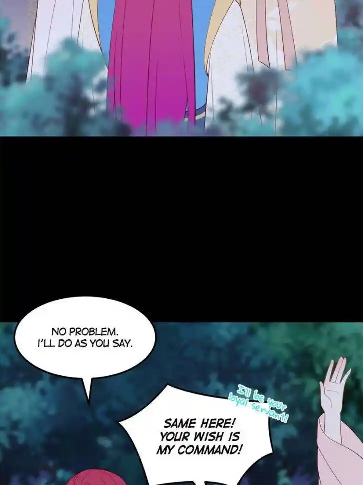 Pupillary Master Ch.370