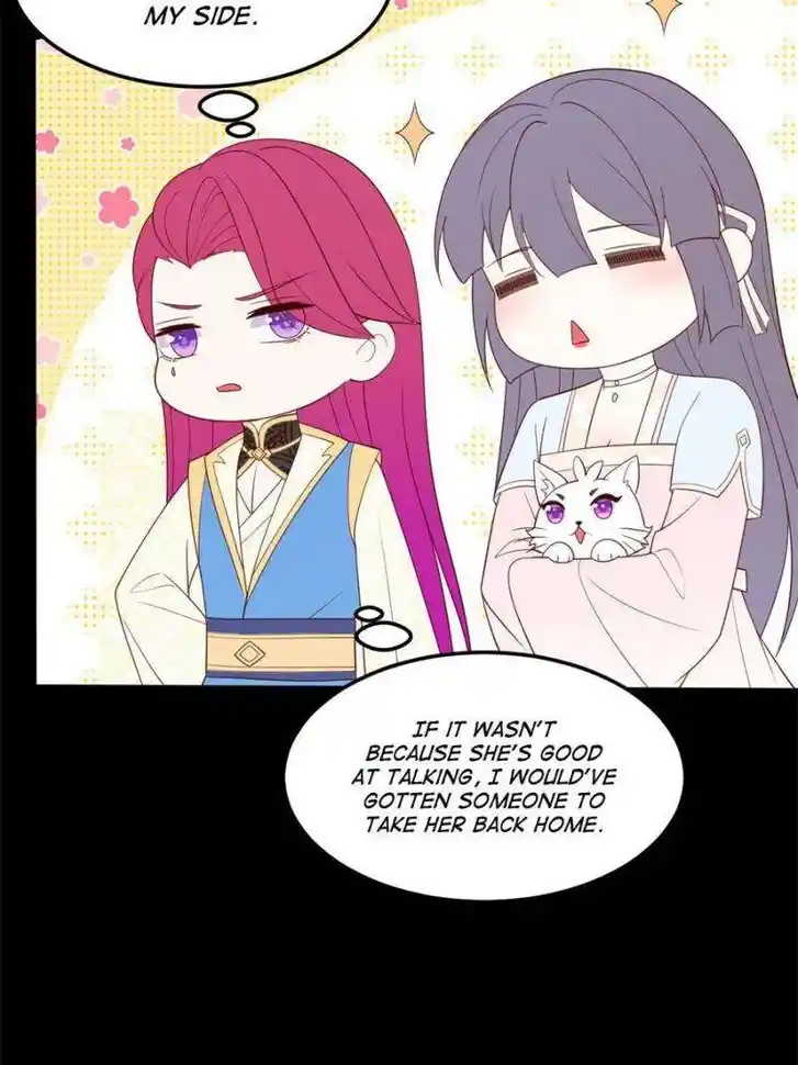 Pupillary Master Ch.370