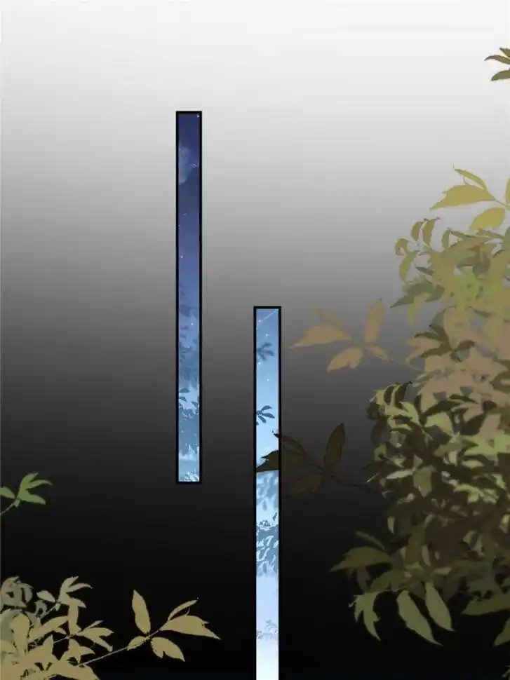 Pupillary Master Ch.376