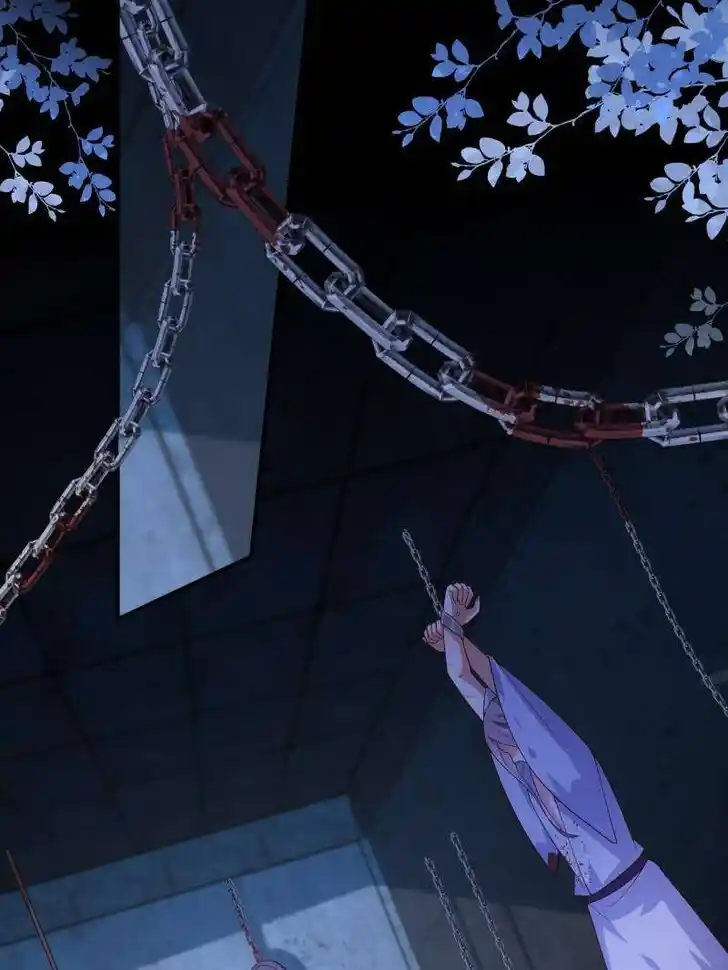 Pupillary Master Ch.377