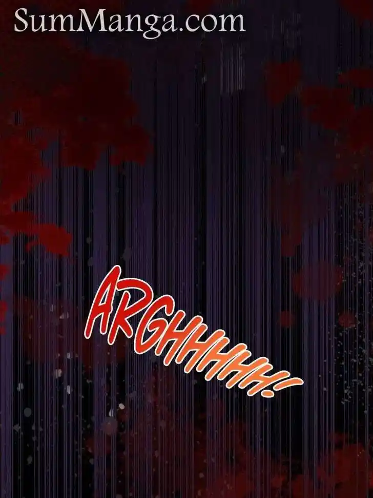 Pupillary Master Ch.377