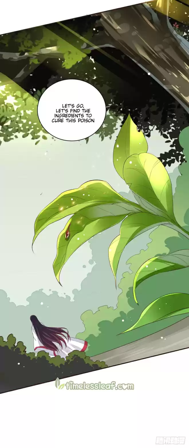 Pupillary Master ch.7