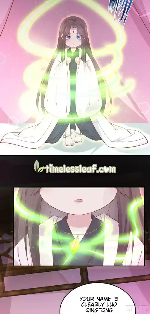 Pupillary Master Chapter 119.3