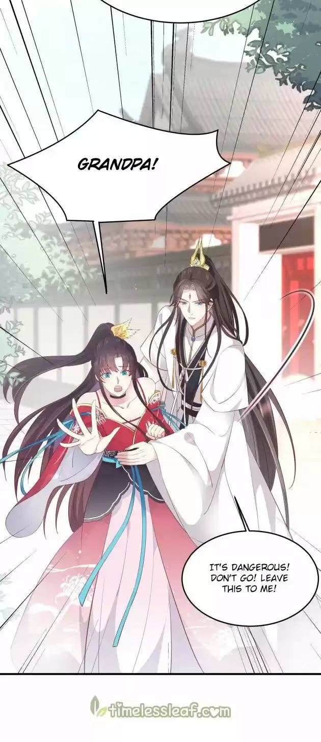 Pupillary Master Chapter 181.5