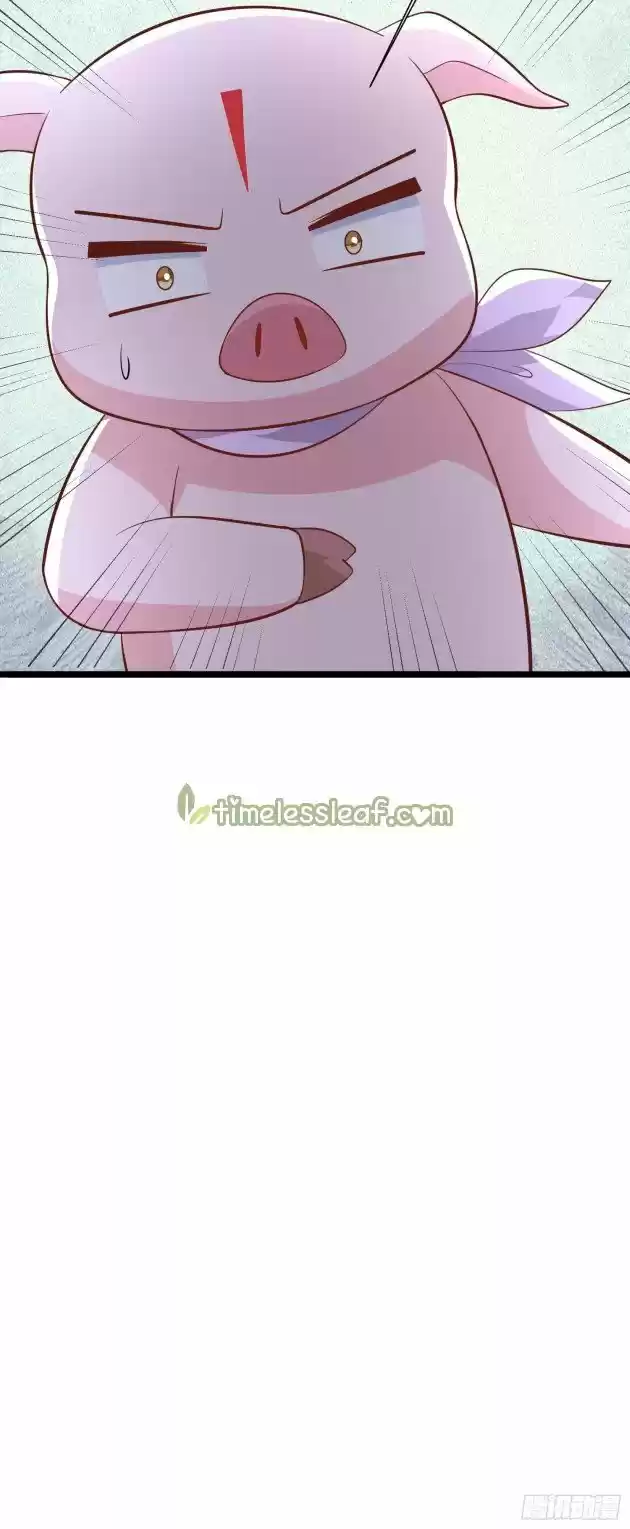 Pupillary Master Chapter 197.5