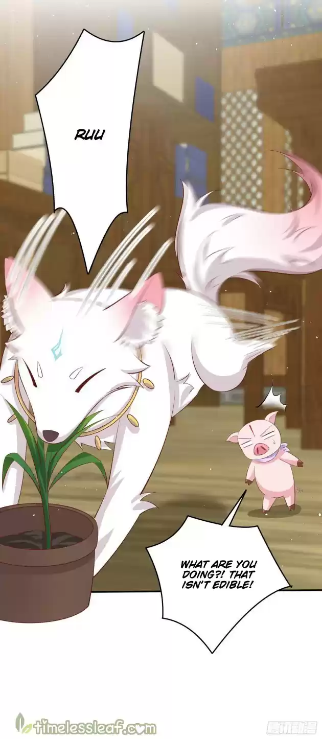 Pupillary Master Chapter 229.5