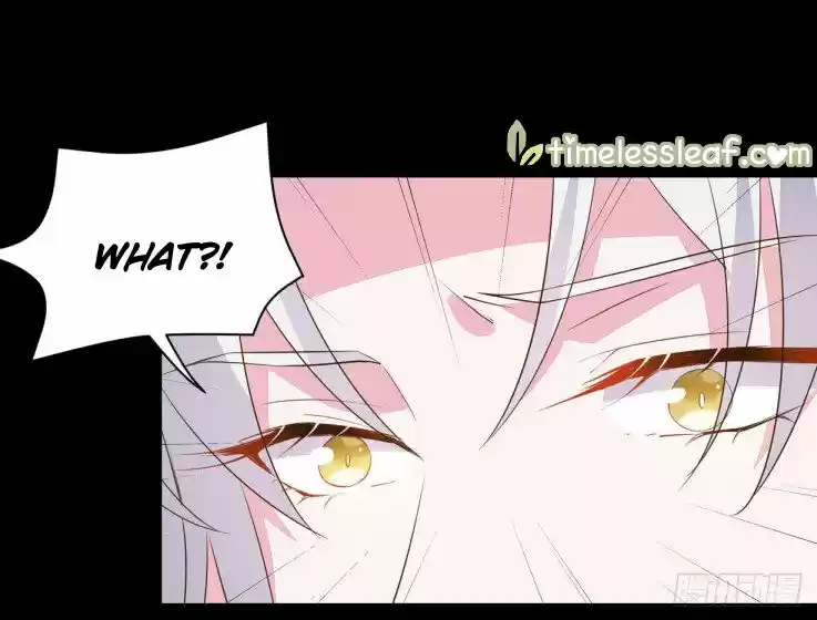 Pupillary Master Chapter 29