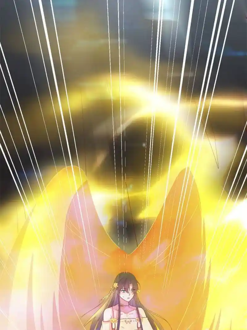 Pupillary Master Chapter 355