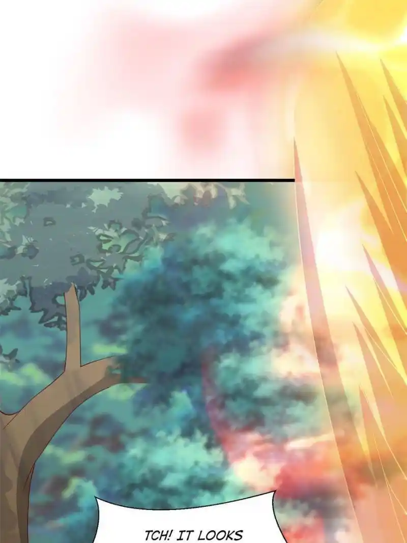 Pupillary Master Chapter 355